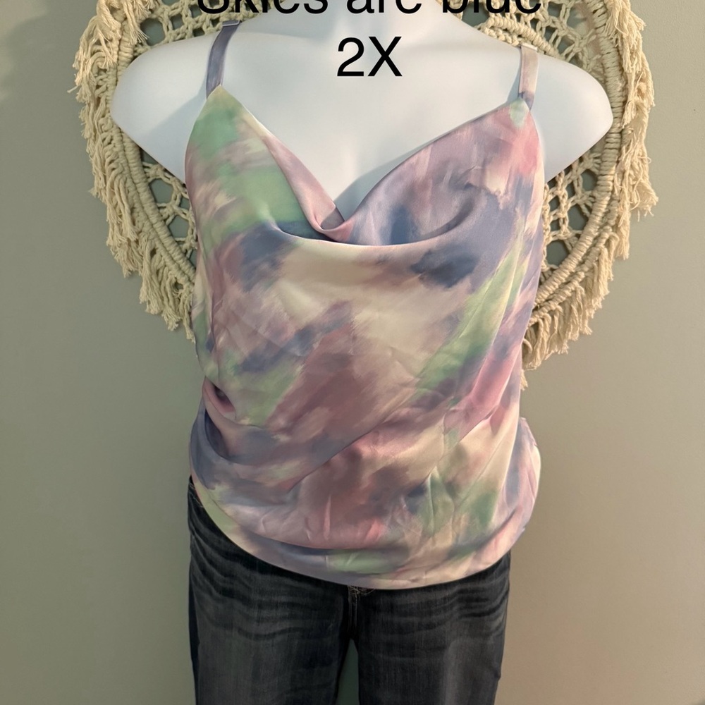 Skies Are Blue Multicolor Camisole Top